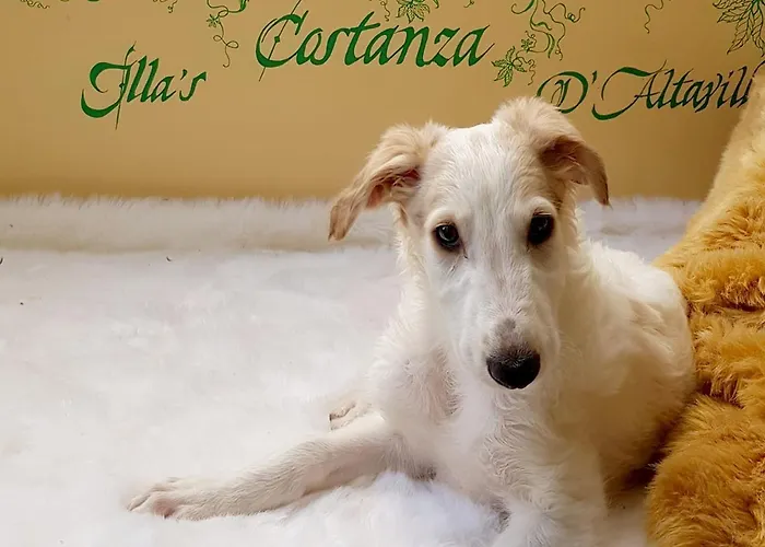 Bed and Breakfast In Principio Vitae - L'infinito Con Tatto