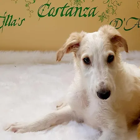 Frühstückspension In Principio Vitae