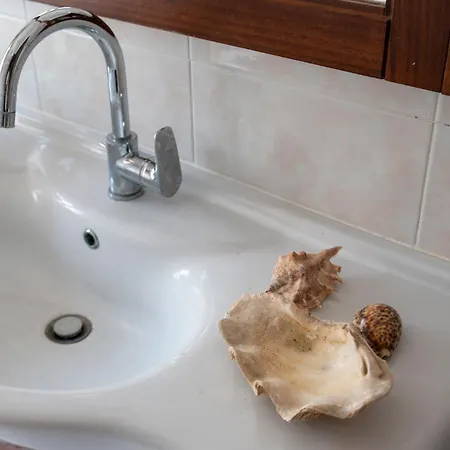 In Principio Vitae 3*